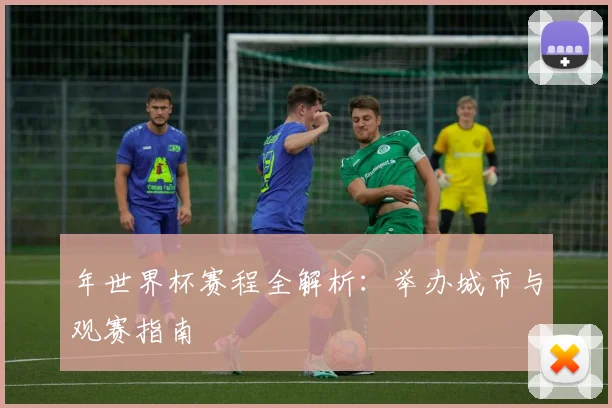 年世界杯赛程全解析：举办城市与观赛指南