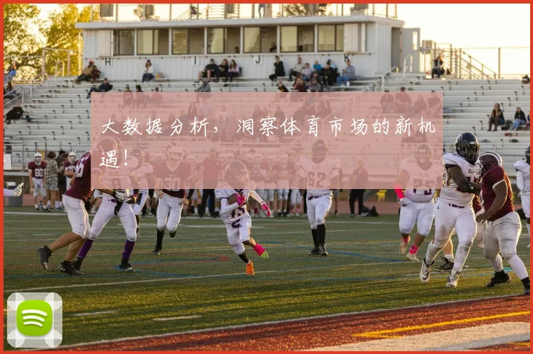 大数据分析，洞察体育市场的新机遇！