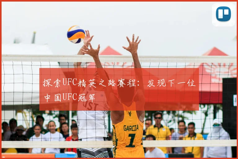 探索UFC精英之路赛程：发现下一位中国UFC冠军