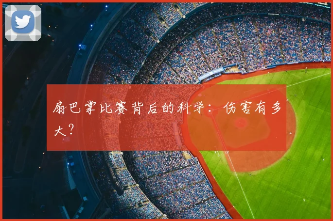 扇巴掌比赛背后的科学：伤害有多大？