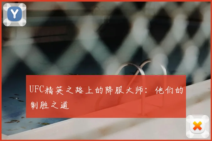 UFC精英之路上的降服大师：他们的制胜之道