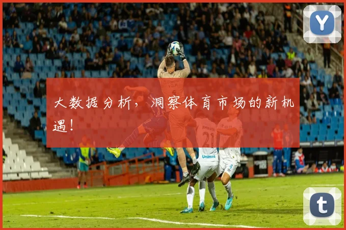 大数据分析，洞察体育市场的新机遇！