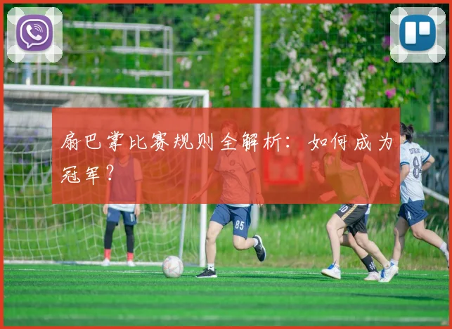 扇巴掌比赛规则全解析：如何成为冠军？