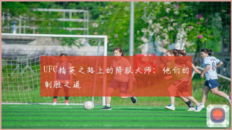 UFC精英之路上的降服大师：他们的制胜之道
