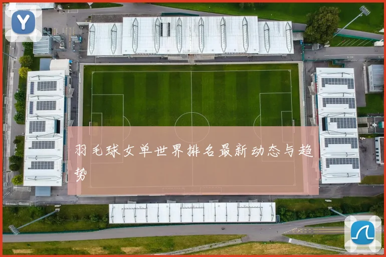 羽毛球女单世界排名最新动态与趋势